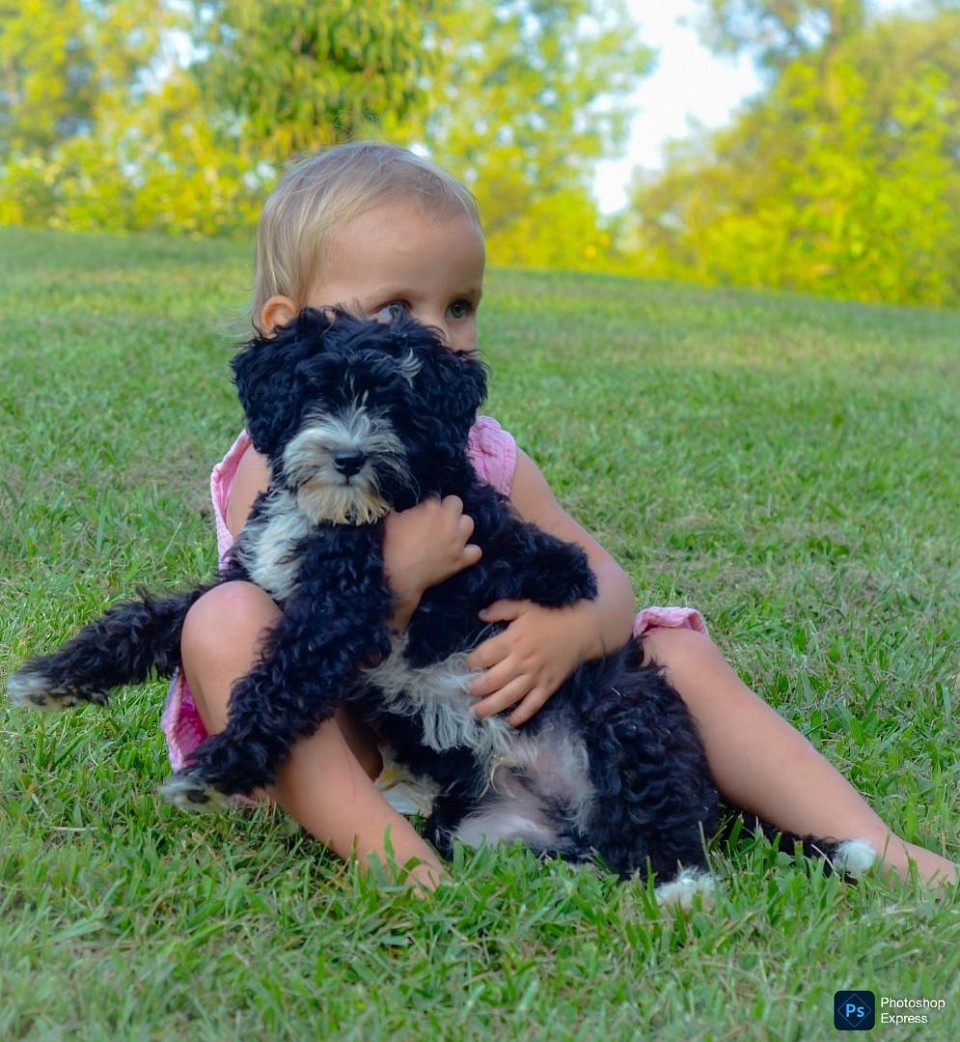 He loves being in someone arms