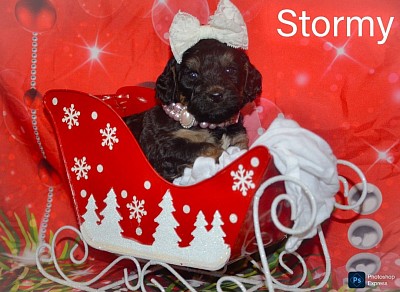 Stormy