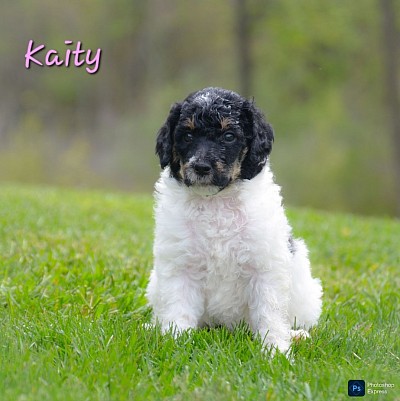 Katie