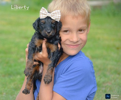 Liberty