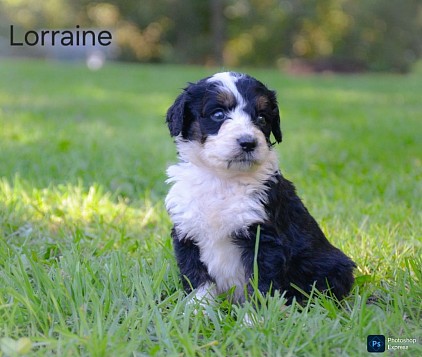 Lorraine